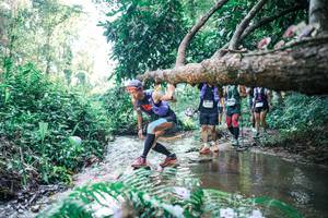 BIB: 
                            <button type="button" onclick="openModal(25444177)" class="btn btn-primary btn-sm float-right btn-popup" data-toggle="modal" data-target=".modal-high-quality">
                        <i class="fas fa-shopping-cart"></i> Add to Cart
                    </button>
                                            <button type="button" onclick="isThisMe(25444177, true)" class="btn btn-success btn-sm float-right btn-popup btn-isme hidden" data-toggle="tooltip" data-placement="bottom" title="นี่คือรูปของคุณใช่ไหม คลิกที่นี่เพื่อเอาเข้าอัลบั้ม">
                        <i class="fas fa-plus"></i> Add to album
                    </button>
                    <button type="button" onclick="isThisMe(25444177, false)" class="btn btn-warning btn-sm float-right btn-popup btn-isnotme hidden">
                        <i class="fas fa-ban"></i> Remove from album
                    </button>